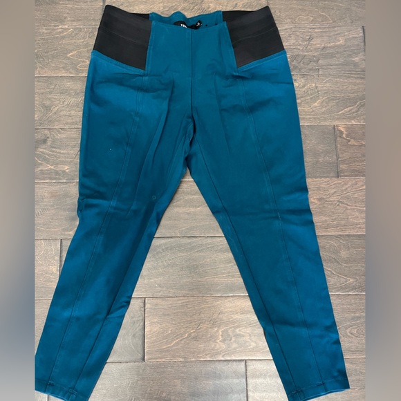 Torrid Curve Pants - Elegant Teal and Black Skinny Pants